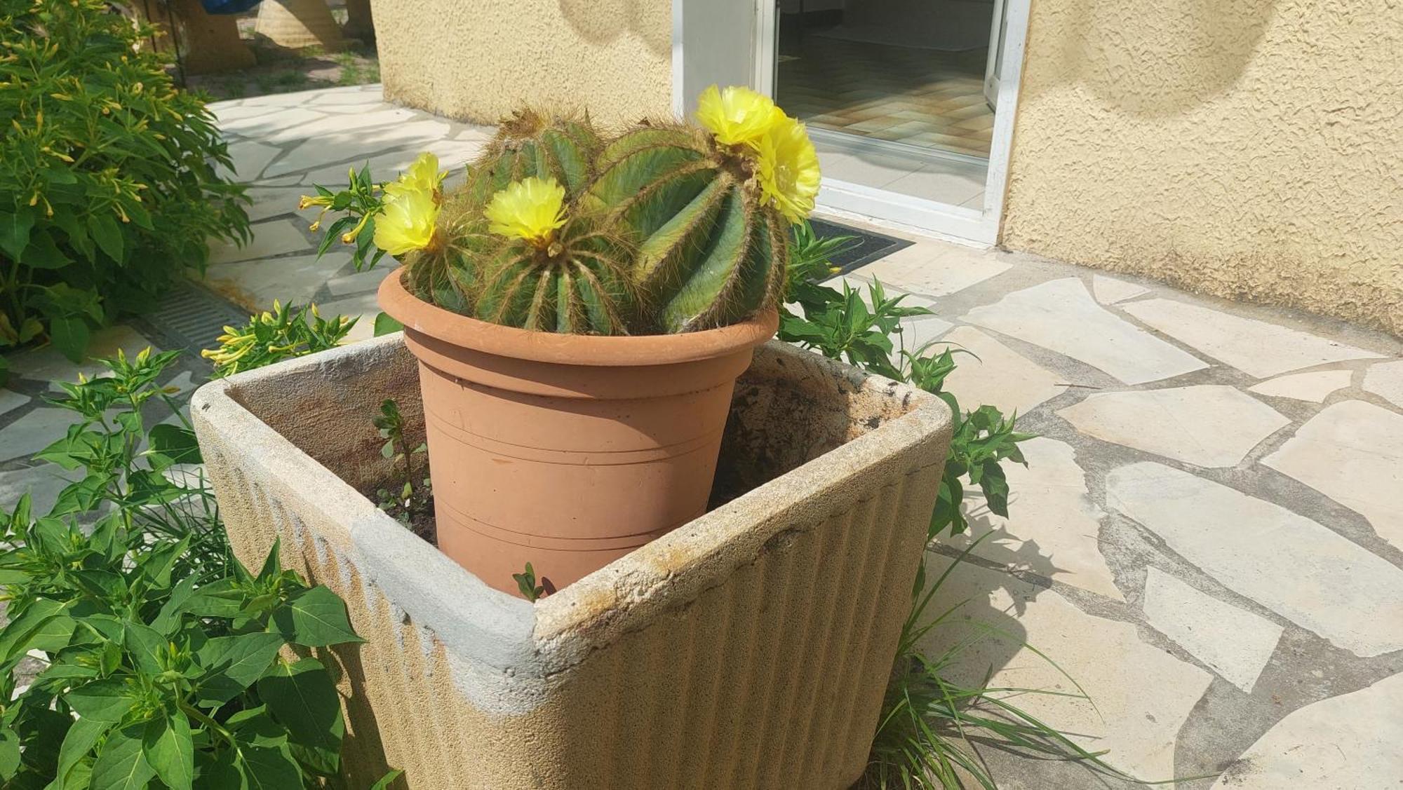 Belle Maison 140 M2 A 15 Mn De La 10 Mn De Montpellier Teyran